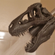 Illustration for article titled T-Rex Skull Shower Heads Justify the Existence of 3D Printers
